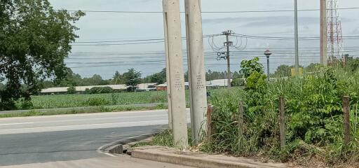 rural roadside view with power lines and agriculture field