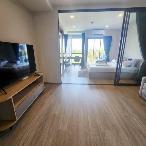 Modern studio apartment with spacious layout featuring separate sleeping area, full windows, and contemporary furniture