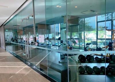 Modern gym facility with glass walls and scenic view