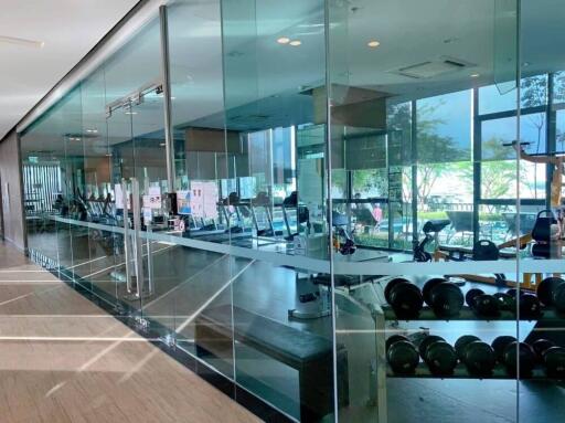 Modern gym facility with glass walls and scenic view