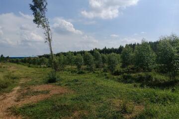 Scenic outdoor view of a lush green landscape with clear skies