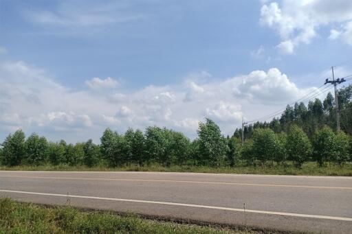 Scenic view of a roadside with lush greenery under a clear blue sky