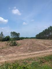 Expansive rural land ready for development