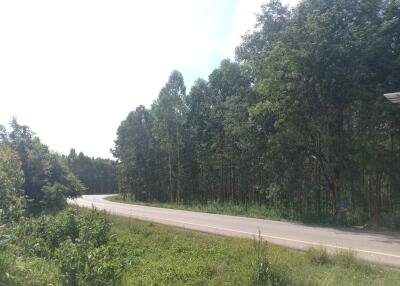 Scenic outdoor view of a curvy road surrounded by lush greenery under a clear sky