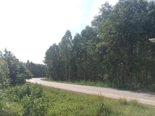 Scenic outdoor view of a curvy road surrounded by lush greenery under a clear sky