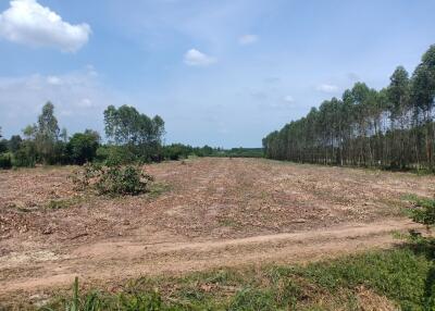 Spacious land with natural surroundings for potential development