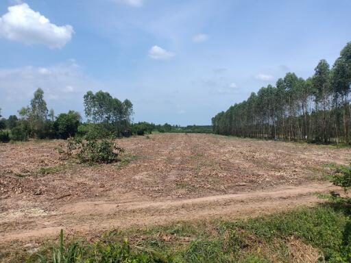 Spacious land with natural surroundings for potential development