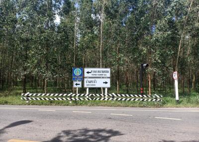 Outdoor road with directional signage surrounded by trees