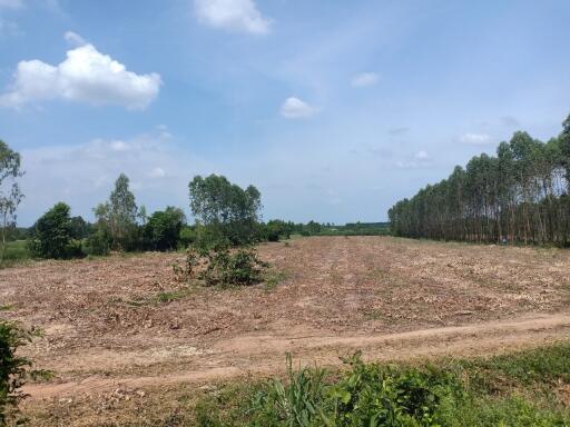 Spacious cleared land ready for development under a clear blue sky