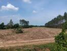 Spacious outdoor rural land with cleared field and tree line