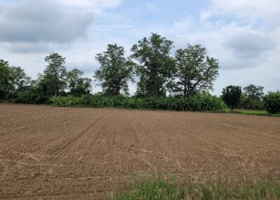 Prepared agricultural land with surrounding trees under a cloudy sky