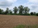 Prepared agricultural land with surrounding trees under a cloudy sky