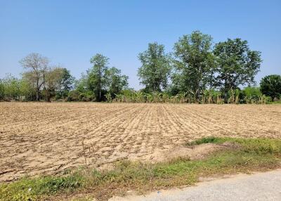Spacious undeveloped land with dry, plowed soil and scattered trees under a clear sky
