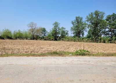 Spacious outdoor land with potential for development or agricultural use