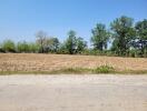 Spacious outdoor land with potential for development or agricultural use