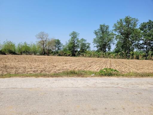 Spacious outdoor land with potential for development or agricultural use
