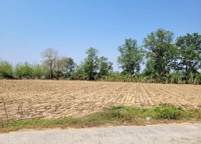 Spacious empty land plot with clear blue sky and lush greenery on the perimeter