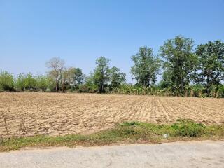 Spacious empty land plot with clear blue sky and lush greenery on the perimeter