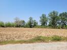 Spacious empty land plot with clear blue sky and lush greenery on the perimeter