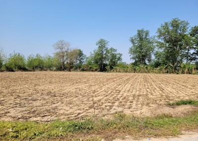 Expansive plowed agricultural land with clear sky
