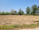 Expansive plowed agricultural land with clear sky