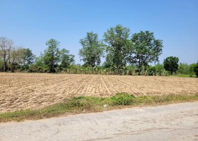 Spacious agricultural land with clear blue sky