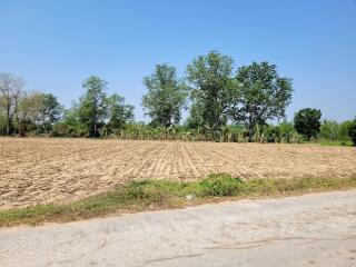 Spacious agricultural land with clear blue sky