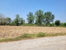 Spacious agricultural land with clear blue sky