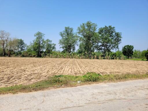 Spacious agricultural land with clear blue sky