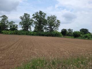 Cultivated agricultural field surrounded by lush greenery