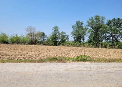 Rural farmland with clear sky