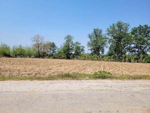 Rural farmland with clear sky