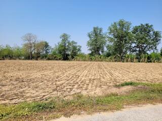 Spacious empty plot ready for development under clear blue sky