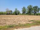 Spacious empty plot ready for development under clear blue sky