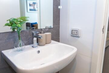 Modern bathroom with stylish sink and decorative plant