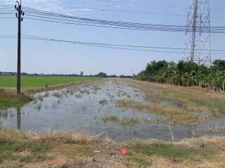 Flooded agricultural field near power lines and lush greenery