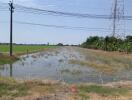 Flooded agricultural field near power lines and lush greenery