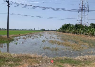 Flooded agricultural field near power lines and lush greenery