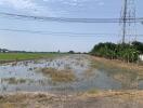 Flooded agricultural field near power lines