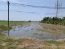 Expansive outdoor area with potential for development, featuring a flooded field under power lines