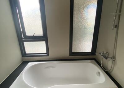 Modern bathroom with frosted glass windows and a white bathtub