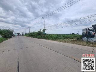 Wide concrete road with green roadside vegetation under cloudy sky
