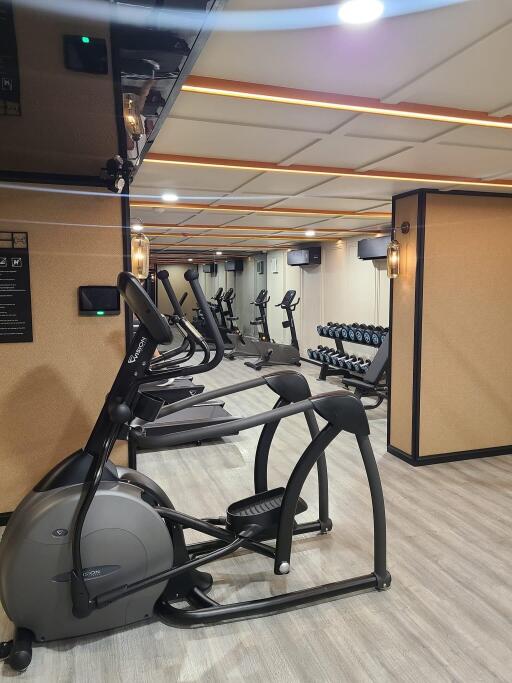 Modern residential gym with various exercise equipment