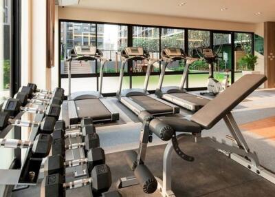 Modern gym with treadmills and weights overlooking garden area