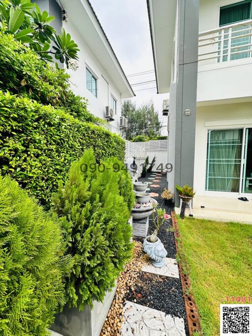 Lush garden path alongside a modern white house