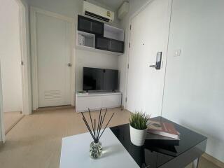 Modern minimalist living room with ample shelving and natural light