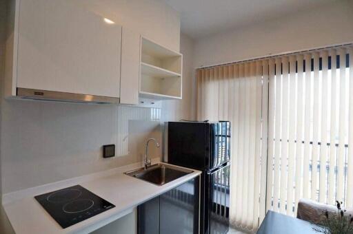 Modern compact kitchen with natural light