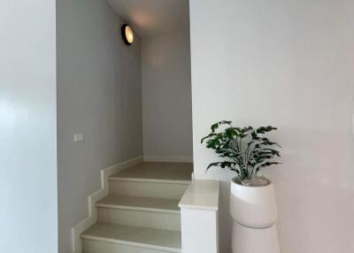 Modern Staircase Area with Decorative Plant in a Vase