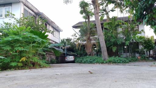 Exterior view of a residential property with lush greenery and parked car
