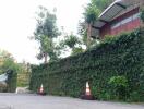 Residential property exterior with lush green ivy on walls and a gated entrance